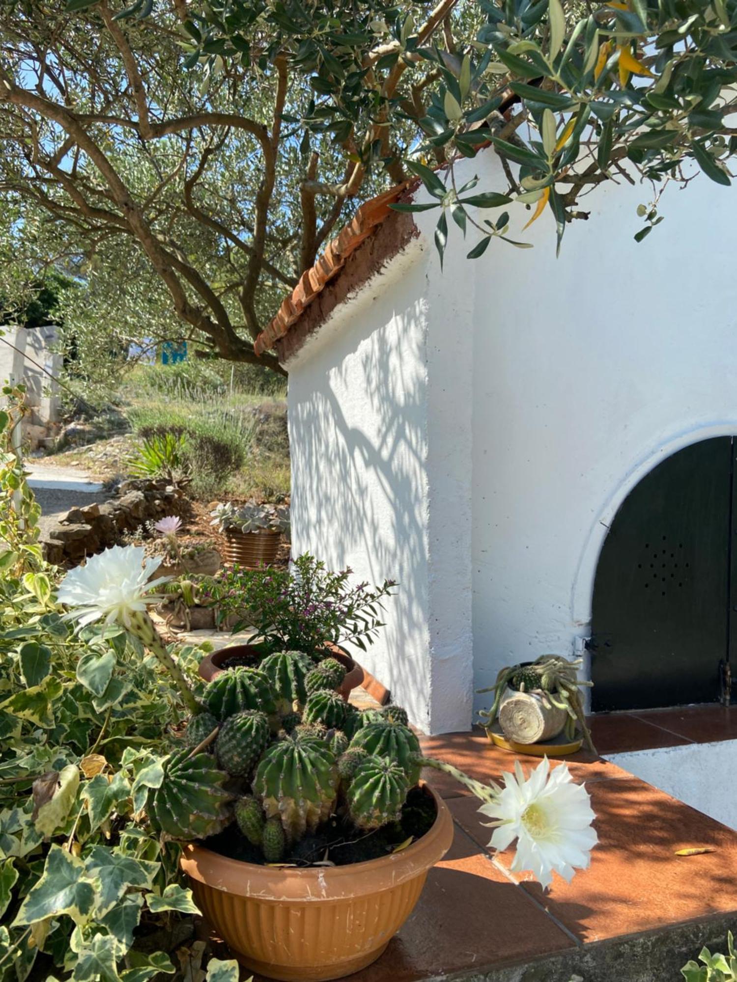 Villa Family House Ljubica Traù Esterno foto